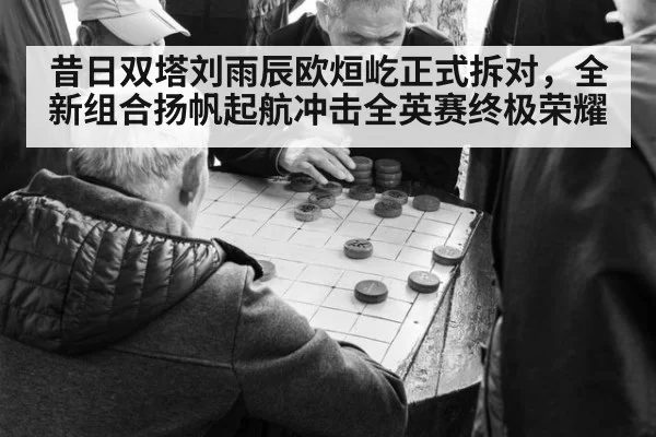 昔日双塔刘雨辰欧烜屹正式拆对,全新组合扬帆起航冲击全英赛终极荣耀